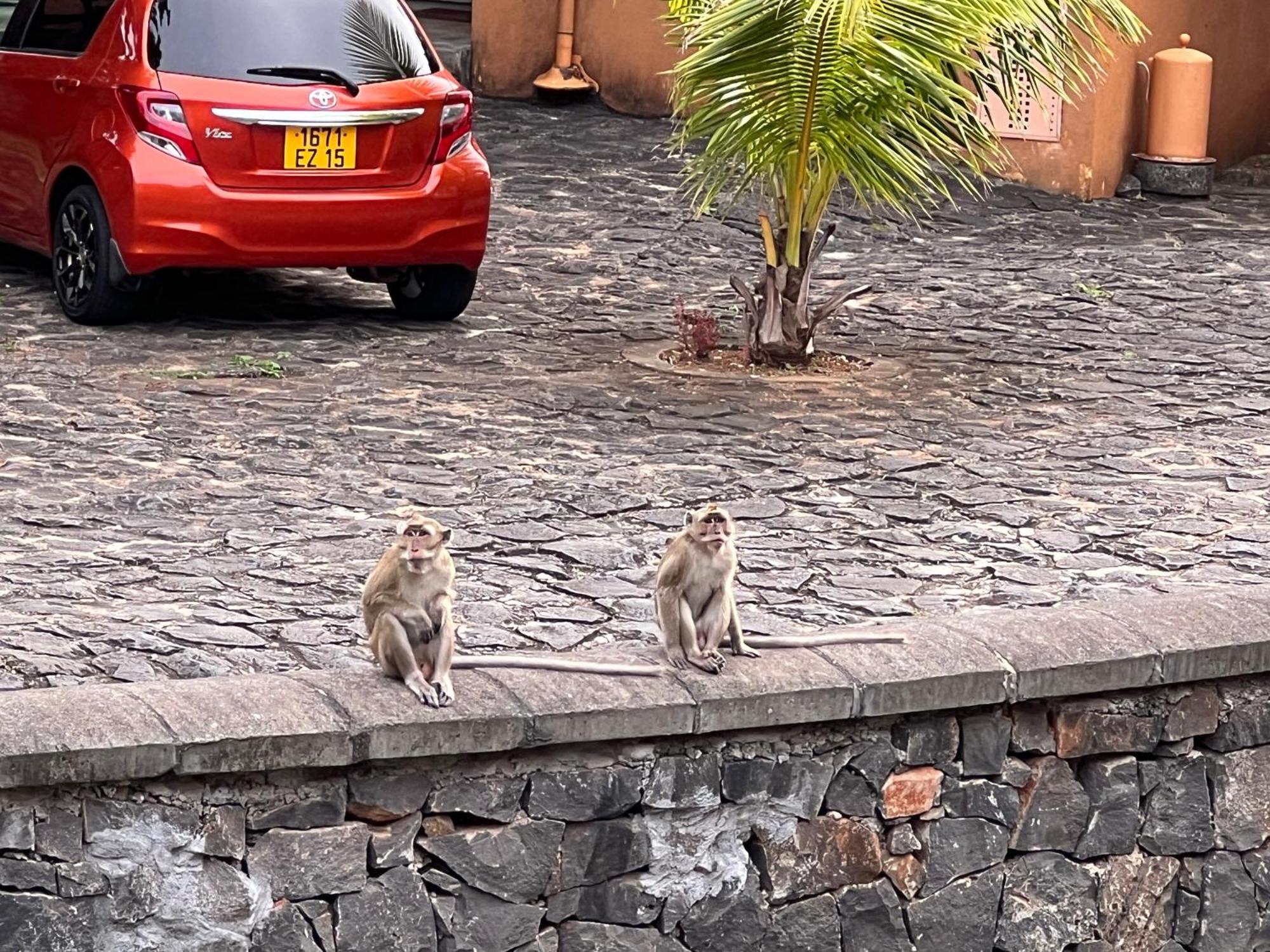 Villa In Port Chambly ,Mauritius تير روج المظهر الخارجي الصورة